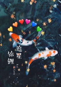 玫瑰殇