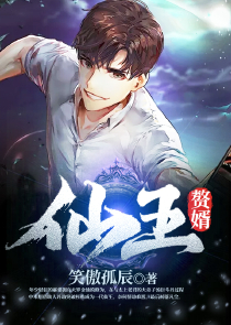 極品家丁全集txt