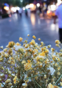 小爷我是你命中注定