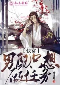 赘婿dt全本最新小说