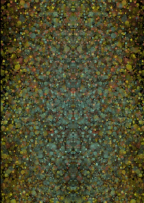 亲爱的玛德洛星海
