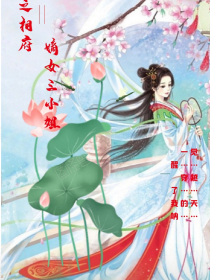 混沌武士百科