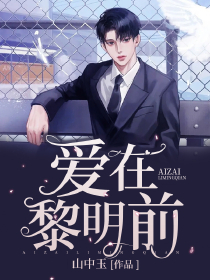 凌玥阁与暗夜组织