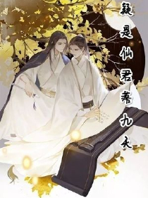 陈薇宁相关小说