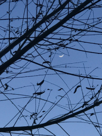 雨花是什么意思