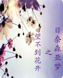 快穿圆梦系统