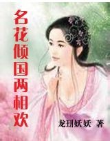 无敌女夫子