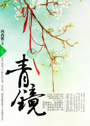 纤尘不立的意思