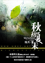 2009最新单机游戏《孤胆枪手：再度来袭》复刻破解版[压缩包]