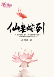 甄嬛传原著有声小说