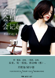 甄嬛傳之如斯佳人