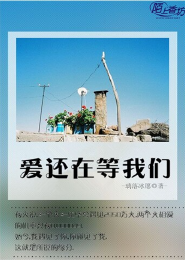 类似冒牌大英雄小说