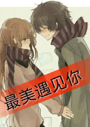小说神秘老公不离婚