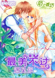 全職高手是耽美小說嗎