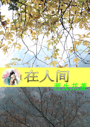 韩国美女排行榜前十名
