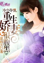 征服大海贼时代征
