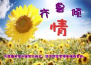 言情小说危险关系
