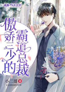顾少宠妻成瘾