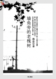 致我们终将逝去的青春小说pdf