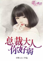 小说美丽的日子