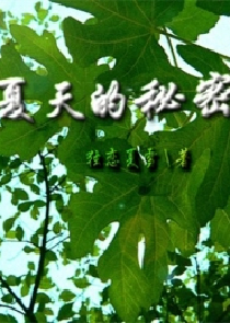 类似洪荒之大师兄小说